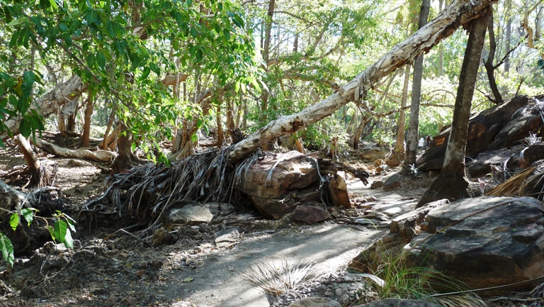 Im Lawn Hill Nationalpark